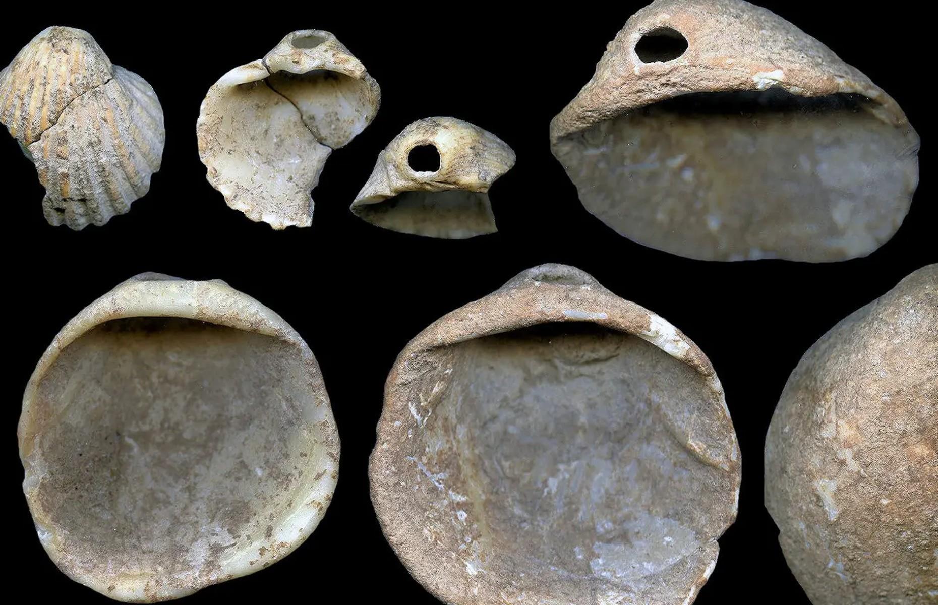 Neanderthal Shells, Spain